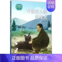 [正版]曾维惠儿童文学精品书系•守墓老人和牧羊犬 书籍 童书