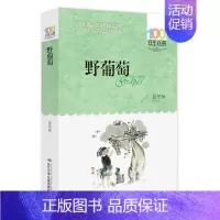 [正版] 野葡萄 葛翠琳著百年百部中国儿童文学经典书系中小学生中短篇童话集长江少年儿童出版社共277页青少年课外阅读