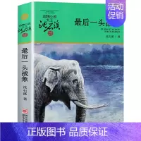最后一头战象 [正版] 后一头战象 沈石溪动物小说品藏书系 青少年的课外启发读物教辅 9-10-11-12岁小学生三四五