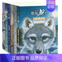 [正版]书 孤独的小狼/影子/绝境狼王系列全套6册 动物小说儿童文学7-8-9-10-15岁少儿读物小学生课外阅读书籍