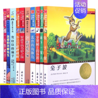 [正版]国际大奖小说书系10册 苹果树上的外婆 奥地利国家儿童与青少年文学奖 坡 桥下一家人 蓝色的海豚岛 初小学