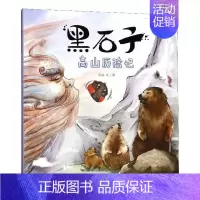 [正版] 黑石子高山历险记 8-10-12-15周岁儿童文学三四五六年级中小学生课外阅读书故事书籍少儿读物青少年经典文学