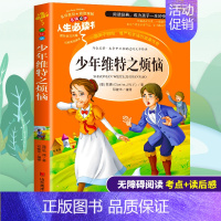 [正版]少年维特之烦恼原版歌德小学生三四五六年级必读课外书籍老师阅读青少年经典读物9-15岁儿童文学世界名著原著故事图书