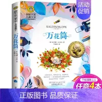 万花筒 [正版]胡桃夹子书 国际大奖儿童文学小说名著美绘版典藏版8-9-10-12岁儿童读物三四五六年级小学生课外书应读