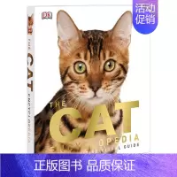 DK系列 猫咪百科 [正版]DK儿童艺术百科全书英文原版 Art A Children's Encyclopedia 文