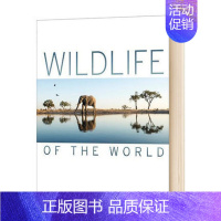 DK世界野生动植物 [正版]DK儿童艺术百科全书英文原版 Art A Children's Encyclopedia 文