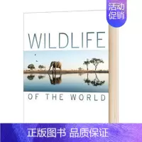 DK世界野生动植物 [正版]DK儿童艺术百科全书英文原版 Art A Children's Encyclopedia 文