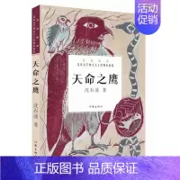 [正版]天命之鹰 沈石溪著 中国当代儿童文学四大天王经典小说集