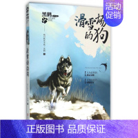 [正版]滑雪场的狗 黑鹤非常勇敢系列 书籍 书 儿童文学