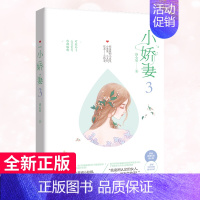 [正版] 小娇妻3 洛心辰作品 青春文学都市爱情童话故事言情现代情感文学小说掌阅人气奇迹小说少女系暖甜苏爽 网络原名小妻