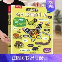 奇奇怪怪的虫虫 [正版] 身体立体书3d儿童翻翻小小探险家系列3-6岁幼儿启蒙人体认知书籍不可思议我们的科普百科阅读绘本