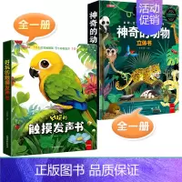 [全2册]触摸发声书+神奇的动物立体书 [正版]好玩的触摸发声书手指点读触摸翻翻书0-3岁宝宝学说话启蒙认知撕不烂机关书