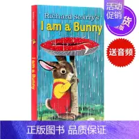 我是一只 [正版]from head to toe 从头到脚英文原版绘本廖彩杏书单低幼儿童英语启蒙认知纸板书宝宝撕不