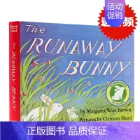 逃家小兔 [正版]from head to toe 从头到脚英文原版绘本廖彩杏书单低幼儿童英语启蒙认知纸板书宝宝撕不烂益