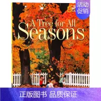 [正版]英文原版绘本National Geographic Kids A Tree for All Seasons美国国