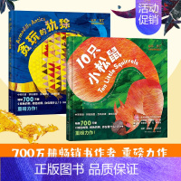 [正版]比尔·马丁世界经典双语绘本(两册) 10只小松鼠+贪玩的犰狳 50+点读互动设计 动物、数学颜色认知启蒙 0-6
