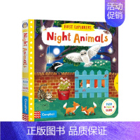 [正版]书籍英文原版3-6岁夜行动物 Night Animals 小小探险家系列 First Explorers 低幼启