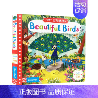 [正版]书籍英文原版 美丽的鸟 Beautiful Birds 小小探险家系列 First Explorers 低幼启蒙