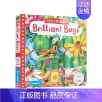 [正版]书籍英文原版 甲壳虫 Brilliant Bugs 小小探险家系列 First Explorers 低幼启蒙 儿