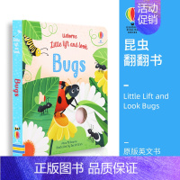 [正版]Usborne Little Lift and Look Bugs 昆虫主题 尤斯伯恩 幼儿启蒙翻翻书 儿童英语