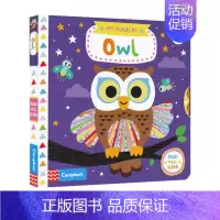 [正版]英文原版 My Magical Owl 儿童启蒙认知 机关抽拉滑动活动纸板书