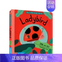 [正版]书籍英文原版 小瓢虫 Ladybird 我的绿色小世界 My Little Green World 低幼启蒙 儿