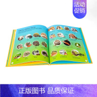 DK动物1000词 [正版]英文原版 DK 1000 Animal Words 动物1000词 世界各地动物生活词汇