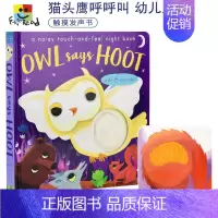 [正版]Owl Says Hoot 猫头鹰呼呼叫 幼儿启蒙认知 动物发声书 触摸感知 英文原版进口图书绘本