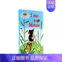 [正版]英文原版 3-6岁I AM A MOUSE 低幼认知 启蒙绘本