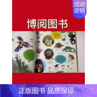 DK动物1000词 [正版]英文原版DK1000 Animal Words动物1000词 世界各地动物生活词汇 儿童英语