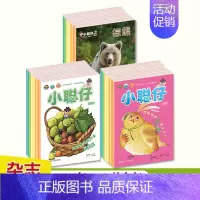 2024年科普版(12期)+24年启蒙版全年12期 [正版]小聪仔2024年科普版幼儿版启蒙版1-12月全年订阅儿童自然