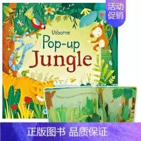 [正版]Jungle森林故事 英文原版立体书 启蒙认知读物