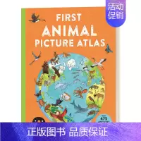 [正版]动物图集认识来自世界各地的475绝妙动物 First Animal Picture Atlas 英文原版 精装儿
