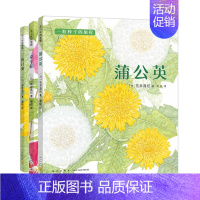 一粒种子的旅程全3册 [正版]一粒种子的旅程 蒲公英牵牛花向日葵全3册 精装绘本儿童绘本幼儿园3-6-8周岁科普百科宝宝