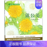 蒲公英 [正版]一粒种子的旅程 蒲公英牵牛花向日葵全3册 精装绘本儿童绘本幼儿园3-6-8周岁科普百科宝宝睡前阅读启蒙认