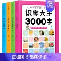 识字大王3000字 全4册 [正版]儿童看图识字大王1600到3000字幼儿园宝宝早教启蒙认知童书幼儿认字书籍绘本228