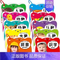 聪明宝宝启蒙认知书(全10册) [正版]聪明宝宝启蒙认知书(全10册) 段湾湾 编 启蒙认知书/黑白卡/识字卡少儿 书店