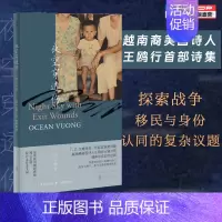 夜空穿透伤:王鸥行诗集 [正版] 夜空穿透伤:王鸥行诗集 以越南裔美国人的身份 探索多元文化视角的诗意 T. S. 艾略