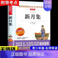 新月集 [正版]新月集泰戈尔中文版 小学生现代诗精选诗集给孩子的诗歌散文诗全集三四五六年级上册下册课外阅读书籍必读飞鸟集