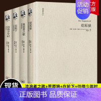 [正版]全套4册黑塞作品套装流浪者之歌+荒原狼+在轮下+彷徨少年时 诺贝尔文学奖作品书籍黑塞散文诗歌文集外国小说书籍