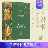 [正版]在春天走进果园 (波斯)鲁米 著 (美)科尔曼·巴克斯,梁永安 译 外国诗歌文学 书店图书籍 湖南文艺出版社
