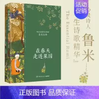 [正版]在春天走进果园 精装典藏版 鲁米 外国诗歌集 关于心灵生命和爱情现代都市人生活心灵解方 外国诗歌散文集文学