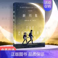 [正版]新月集 四川文艺出版社 (印)泰戈尔 著 王钦刚 译 外国诗歌