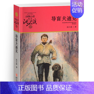 导盲犬迪克 [正版]完整版红飘带狮王全本沈石溪的图书籍动物小说大王品藏系列小学生四五六年级儿童文学作品珍藏大全全集全套单