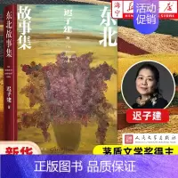 [正版]东北故事集 迟子建全新作品 茅盾文学奖、鲁迅文学奖得主迟子建 额尔古纳河右岸! 描摹自然与人性的风雪,跨越历史与