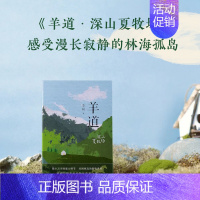 羊道·深山夏牧场 [正版]书籍李娟作品全集代表作 我的阿勒泰系列 羊道三部曲修订版套装 遥远的向日葵冬牧场 近代文学散文