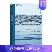 我的世界下雪了 [正版]书籍迟子建作品全集任选 茅盾文学奖 经典文学散文小说 额尔古纳河右岸也是冬天也是春天伪满洲国白雪