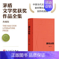 湖光山色 [正版]单本/套装任选茅盾文学奖获奖作品全集额尔古纳河右岸迟子建繁花长恨歌王安忆白鹿原推拿天行者芙蓉镇秦腔人民