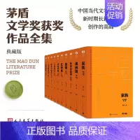 你在高原(全10册) [正版]单本/套装任选茅盾文学奖获奖作品全集额尔古纳河右岸迟子建繁花长恨歌王安忆白鹿原推拿天行者芙
