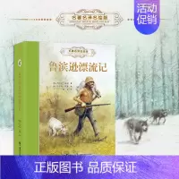 名著名译名绘版 鲁滨逊漂流记 [正版]任选2本随机赠书名著名译名绘版系列 世界儿童文学作品集冒险故事儿童文学小说中小学生